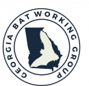 Georgia Bat Working Group logo