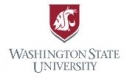 Banner with red background and the head of a roaring lion shaped from the letters "WSU"