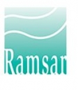 The word Ramsar on a multi blue square logo
