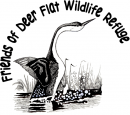 Black and white bird with long neck rising out of the water to dance with vegetation emerging from water behind. The words Friends of Deer Flat Wildlife Refuge wrap around the drawing of the bird. 