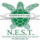 N.E.S.T. Network for Endangered Sea Turtles Outer Banks, NC