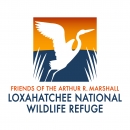 Logo with a wading bird taking flight in the sunset and text that says "Friends of the Arthur R. Marshall Loxahatchee National Wildlife Refuge"