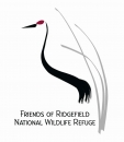 Logo of a black body and beaked Sandhill crane with red on top of head and gray grass curving toward the bird and text, Friends of Ridgefield National Wildlife Refuge in black type