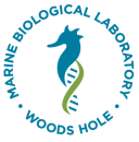 Logo for the Marine Biological Laboratory Woods Hole