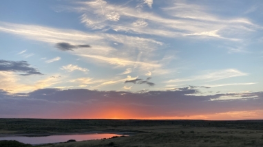 Muleshoe National Wildlife Refuge