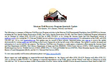 screenshot of document title page