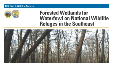 An Image of the Forested Wetlands for Waterfowl on National Wildlife Refuges in the Southeast fact sheet.