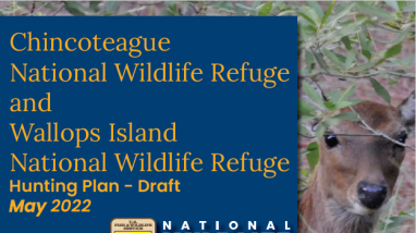 The front cover of the plan document showing a sika deer, the title of the plan and a list of Appendices