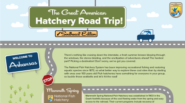 Image contains a graphic of a cartoon-like map. A fish drives a car on a road that winds down the page, stopping at various sites in the hatchery.