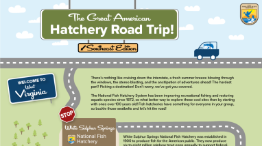 Image contains a graphic of a cartoon-like map. A fish drives a car on a road that winds down the page, stopping at various sites in the hatchery.
