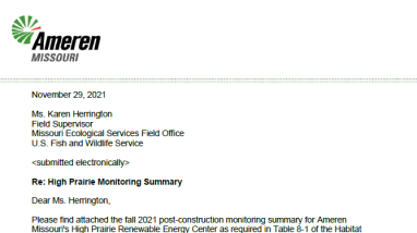 Screenshot of Cover Page