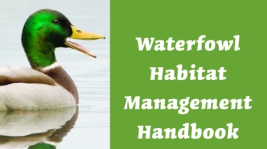 Cover of the Waterfowl Habitat Management Handbook For the Lower Mississippi River Valley