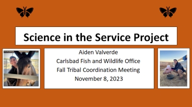 photos of man with horse and pig