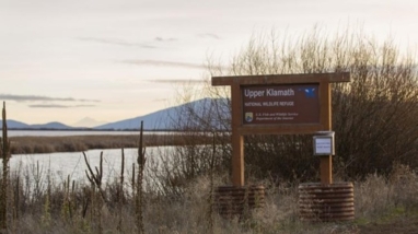 a sign in front of a body of water with bushes behind it