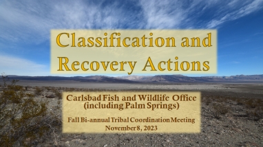 photo of desert landscape with text which reads classifications and recovery actions