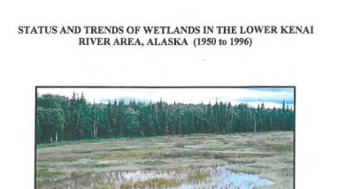 Image of wetlands in Kenai, Alaska