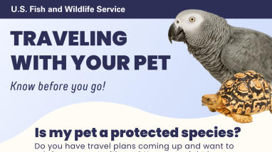 Traveling with your exotic pet rack card