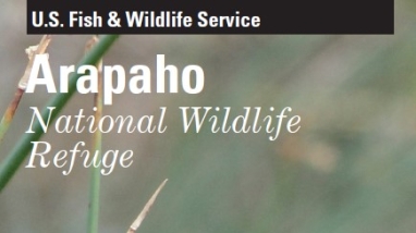 Cover page of the Arapaho NWR General Brochure with a yellow-headed blackbird perched in tall green grass