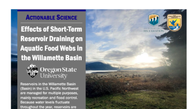 first page of handout