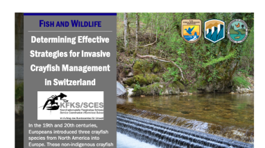 first page of handout