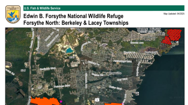 Map of Lacey & Berkeley Township Hunt Areas showing where hunters can and can not hunt for certain groups of wildlife