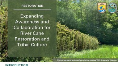 first page of case study handout