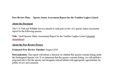 The first page of the Temblor legless lizard peer review plan