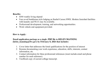 Avian Intern Engaged on Public Outreach With a Large Piping Plover Cutout