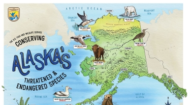 An image of Alaska with all of the listed species overlain onto it. 
