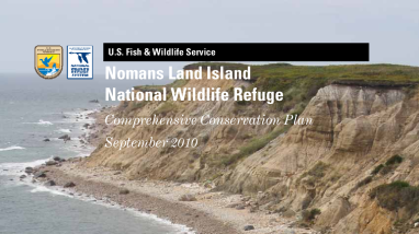 Cover Page Table of Contents.pdf