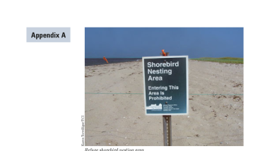 Nantucket NWR Draft CCP Appendix A Species of Conservation Concern ...