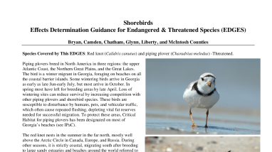 EDGES: Shorebirds