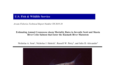 Estimating Annual Ceratonova shasta Mortality Rates in Juvenile Scott and Shasta River Coho Salmon that Enter the Klamath River Mainstem