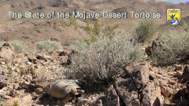 2021-10-07 Presentation 1_State of the MDT