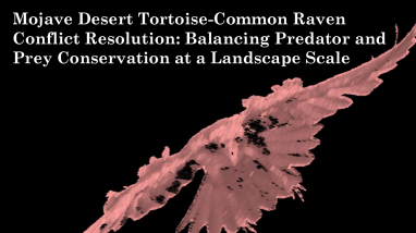 2021-10-07 Presentation 3_Raven Update