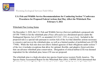 20210205_WhitebarkPine_USFWSConferencingRecommendations_Final.pdf