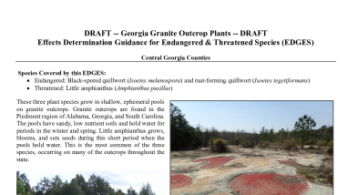 EDGES: Granite Outcrops