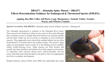 EDGES: Altamaha Spinymussel