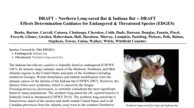 EDGES: Northern Longeared & Indiana Bats