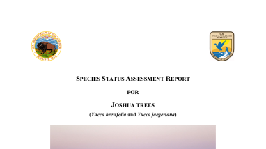 2023 Joshua Tree Species Status Assessment 