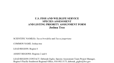 2023 Joshua Tree Species Assessment and Listing Priority Assignment
