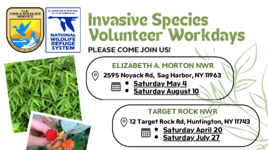 2024 Volunteer Workday Poster