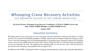 Whooping Crane Recovery Activities: 2022 Breeding Season to 2023 Spring Migration