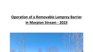 LCFWCO - SLC - Operation of a Removable Barrier on Morpion Stream 2023