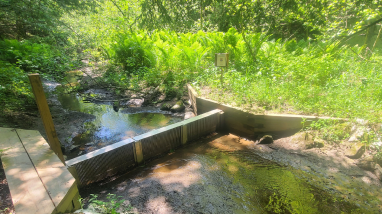 LCFWCO - SLC - Trout 2023