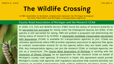 The Wildlife Crossing Volume 5