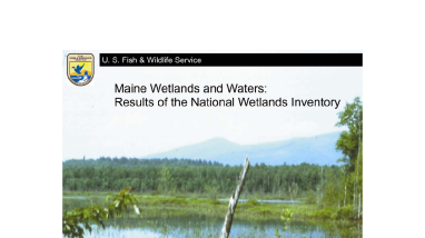 Maine wetlands and waters: results of the National Wetland Inventory