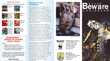 Buyer beware Caribbean