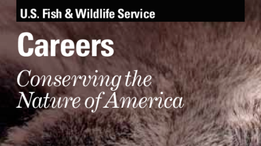 Careers: conserving the nature of America