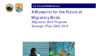 Blueprint for the future of migratory birds: migratory bird program strategic plan 2004-2014